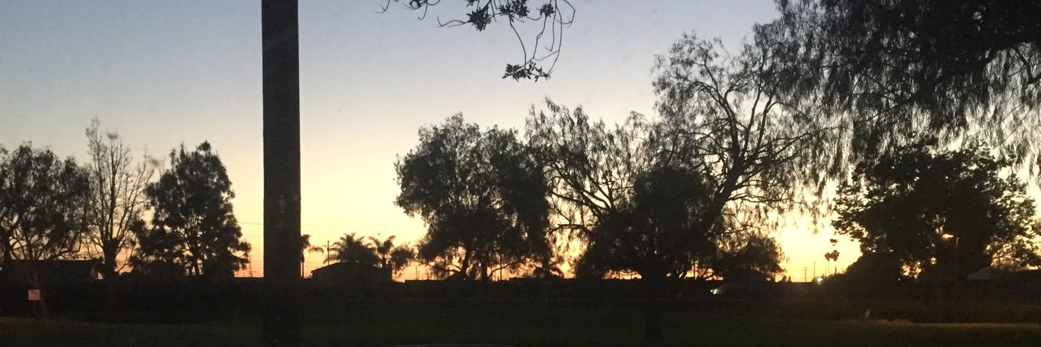 Z2Little's profile banner image