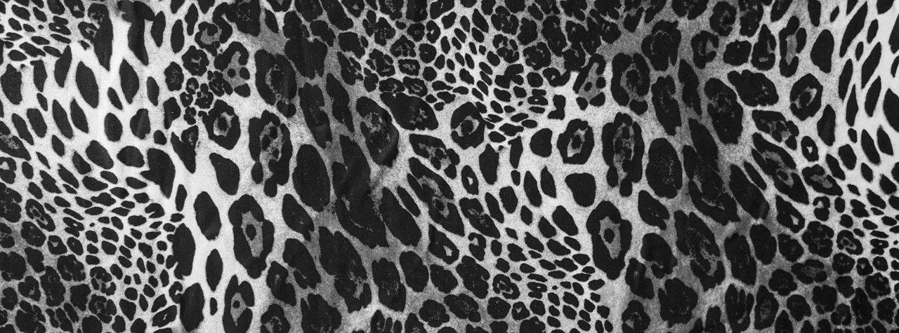 hellblood's profile banner image