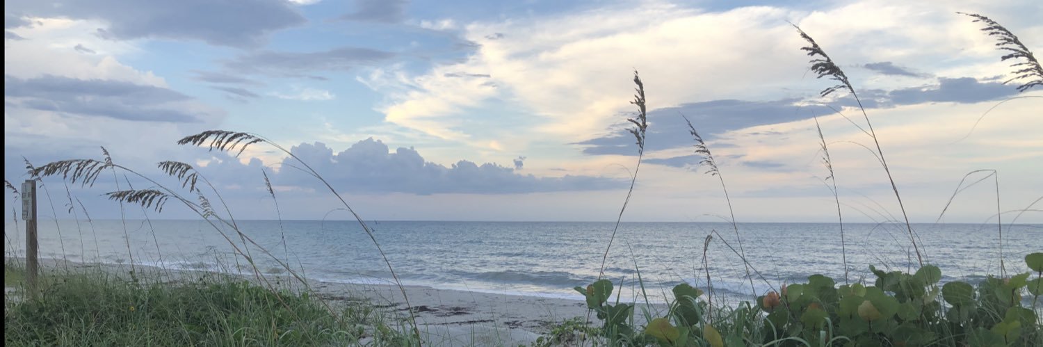 Robert Donaldson banner