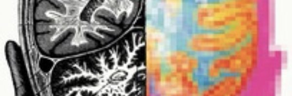 JedBarash Profile Banner