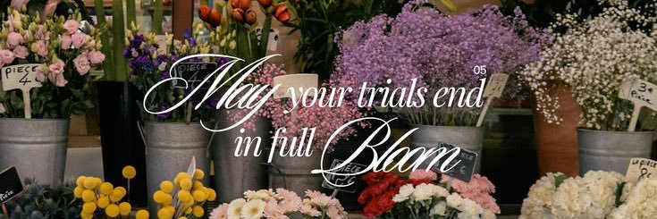 sa •⩊• ྀིྀིྀིྀིྀི banner