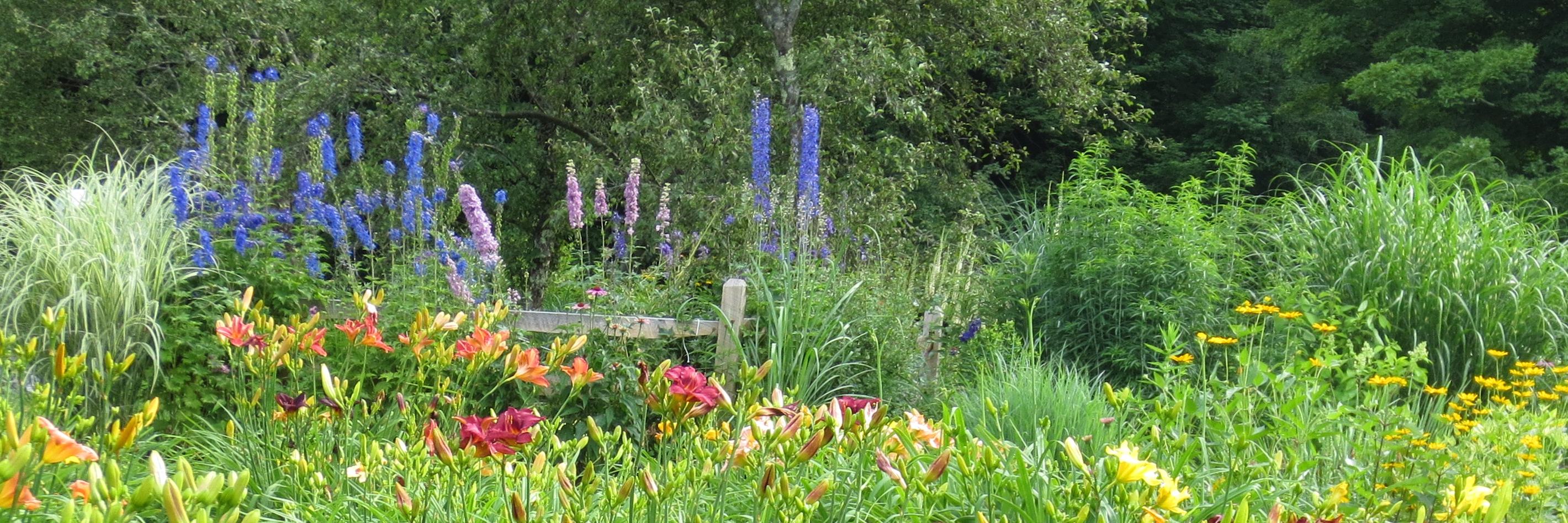 Maureen Tumenas banner