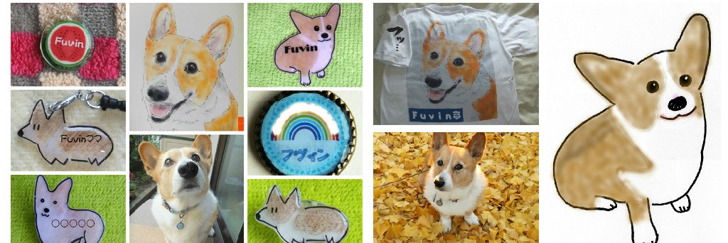 corgi0819's profile banner image