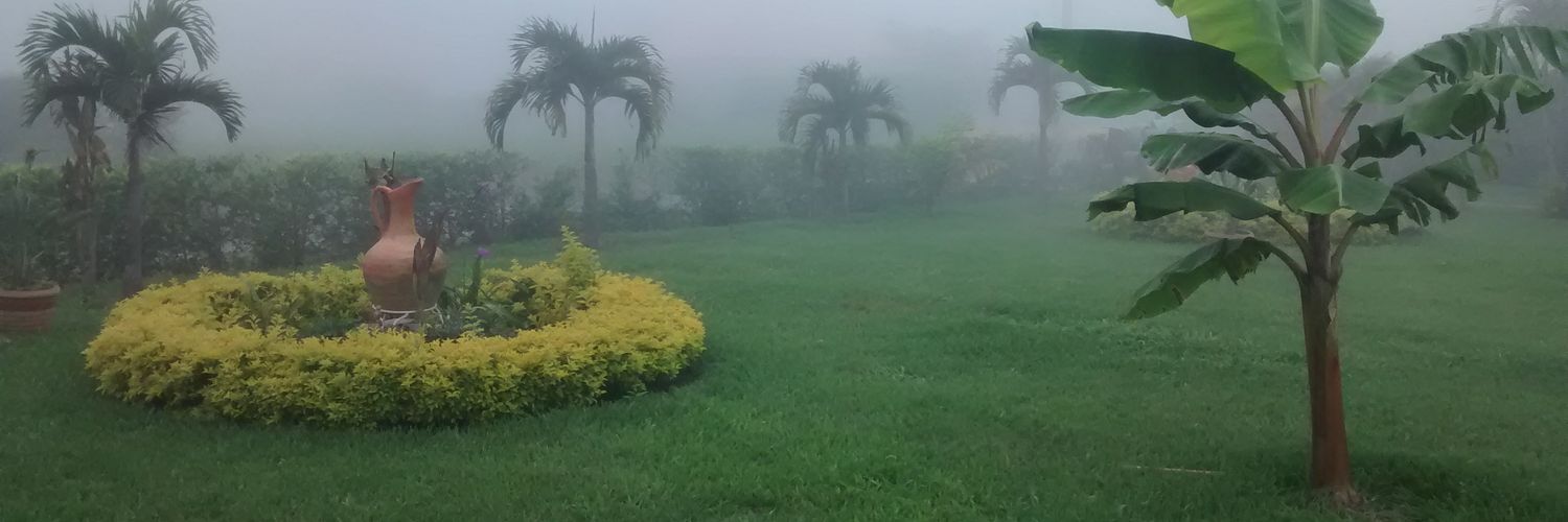 LuisCastro_'s profile banner image