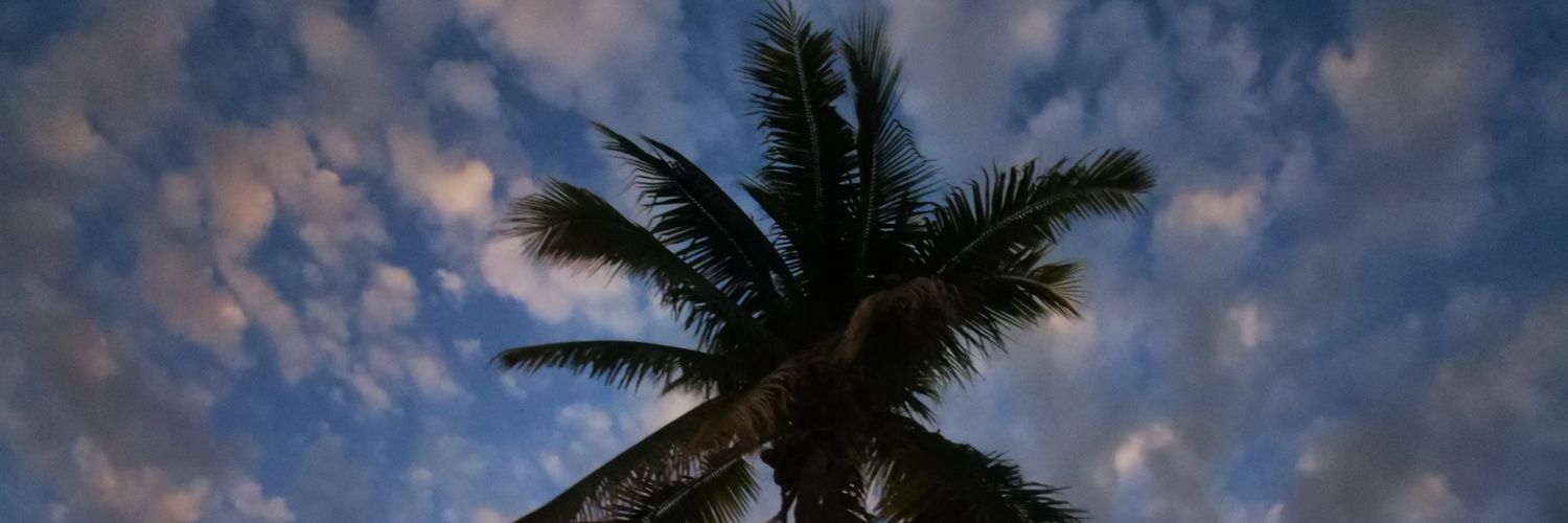 egutierrezv's profile banner image