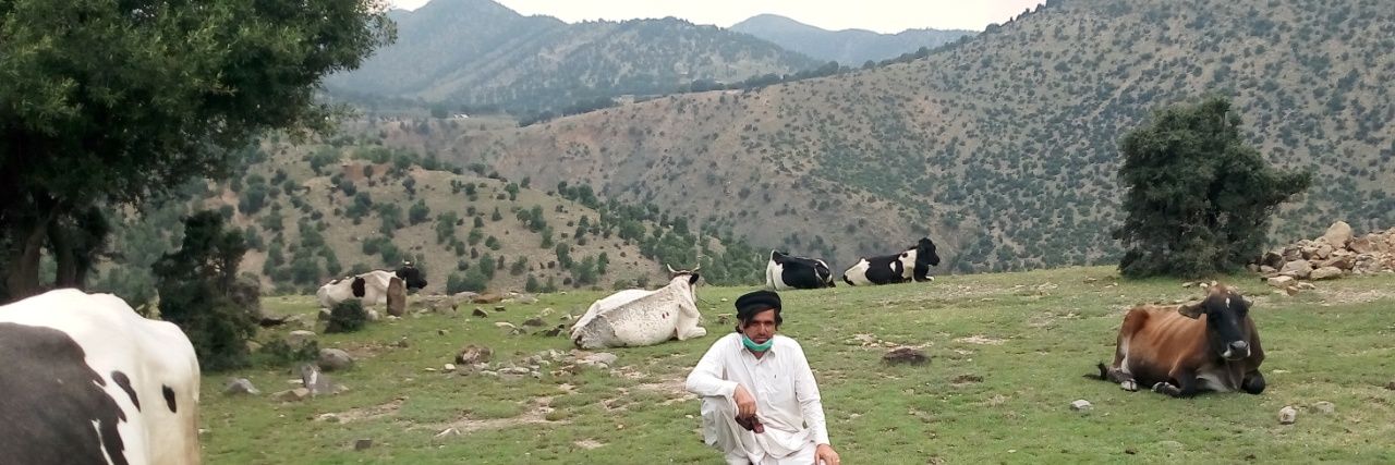 samadrazmak's profile banner image