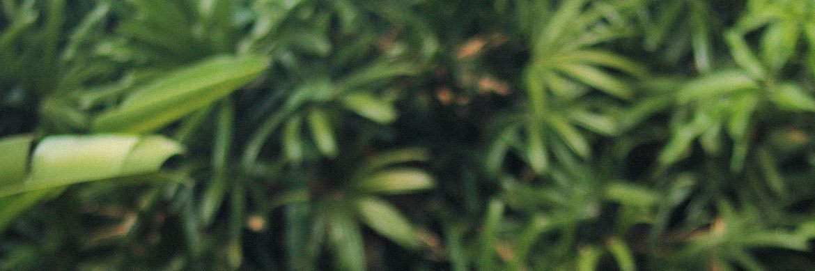 jerardeusebio's profile banner image