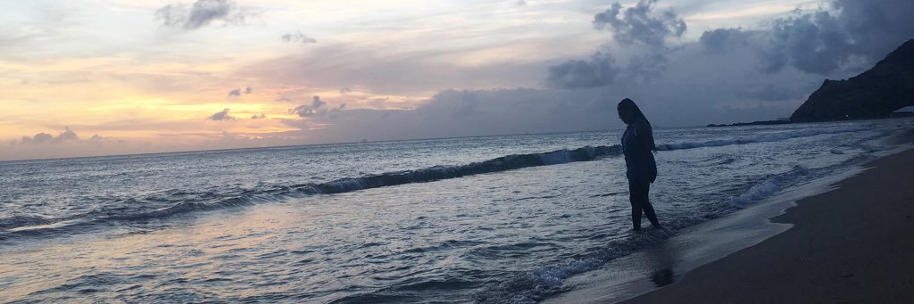 Dom Dominique banner