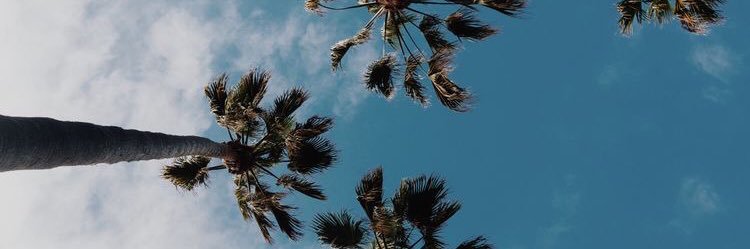 denayeah's profile banner image