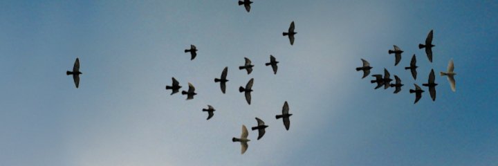 FutureConsiderations banner