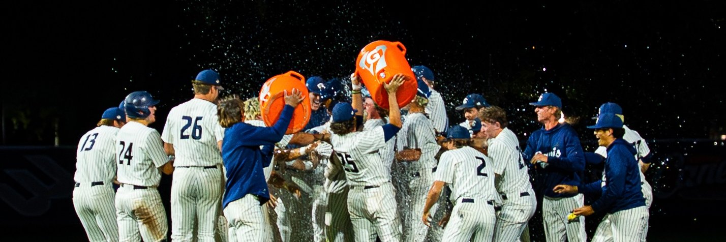 UC Davis Baseball banner