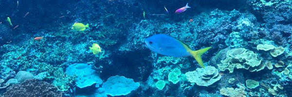 shrishrishrii Profile Banner