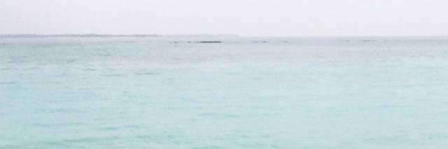 dr_sonusaini's profile banner image