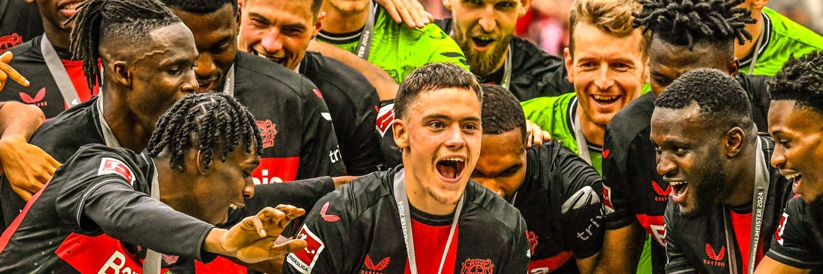 iLouis🐜's banner