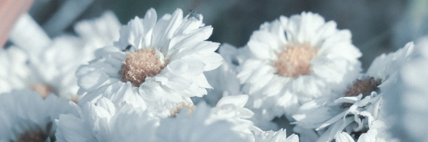 Robonux's profile banner image