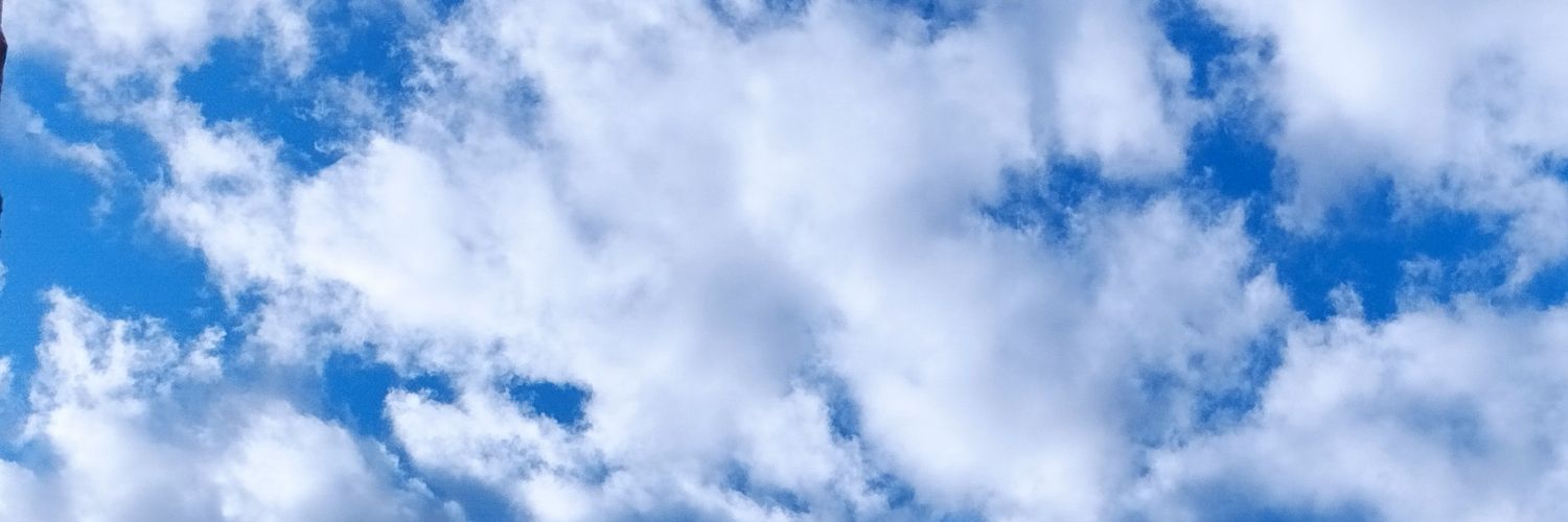 natalialb28's profile banner image