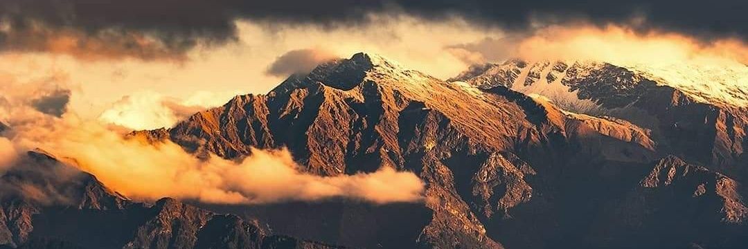 shwetaa_p's profile banner image
