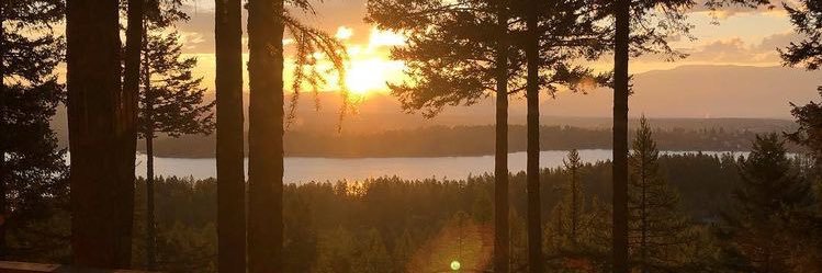MissJenkBonez's profile banner image