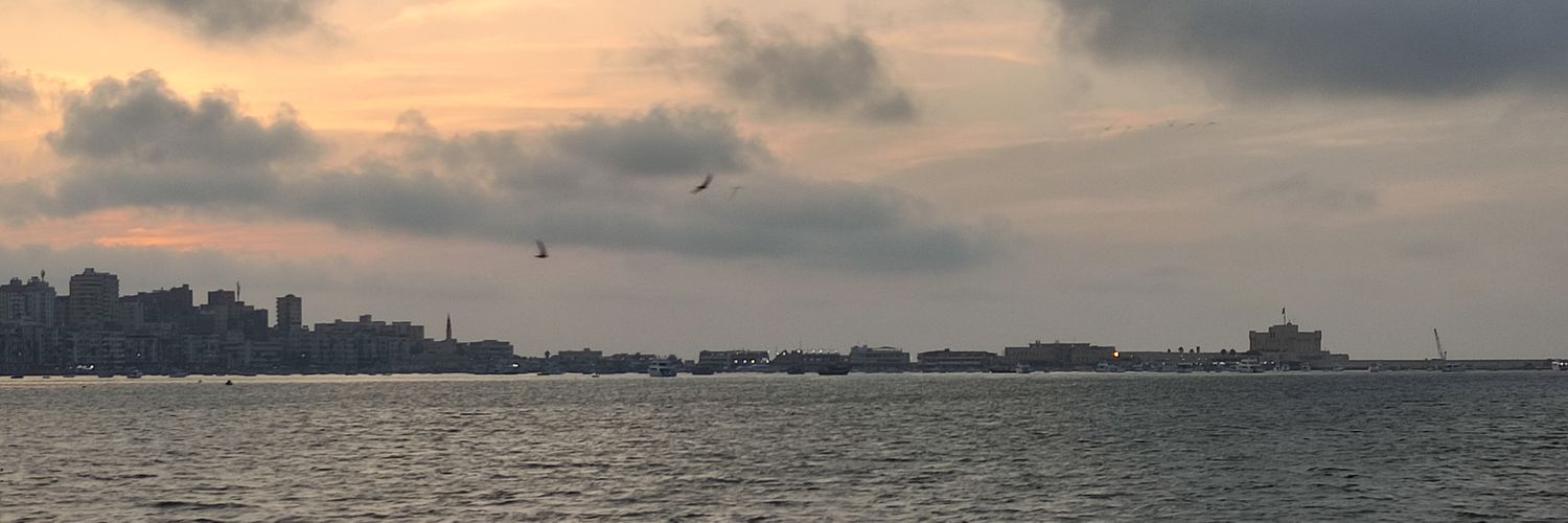 theviperelmagic's profile banner image