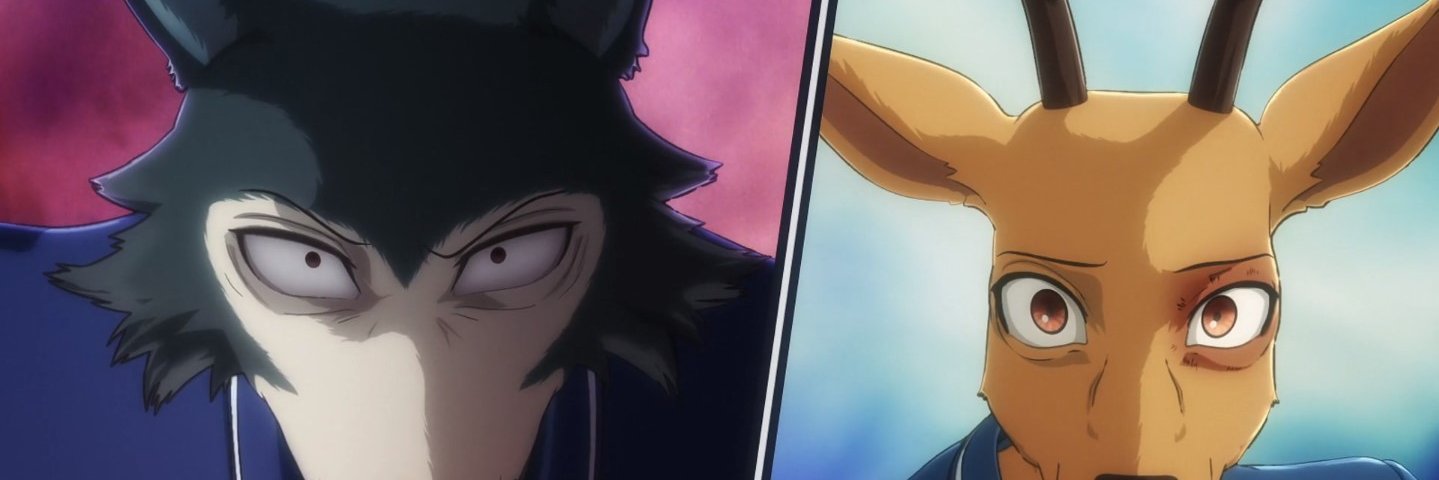 RaphaLPM's profile banner image