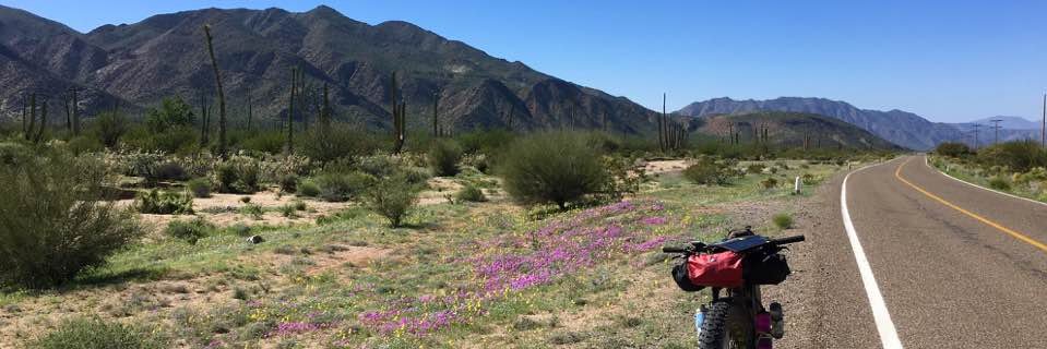 Agustín Ramos banner