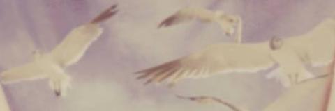 _RuthB's profile banner image