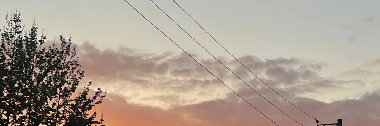 اینجا زباله دون ذهنمه banner