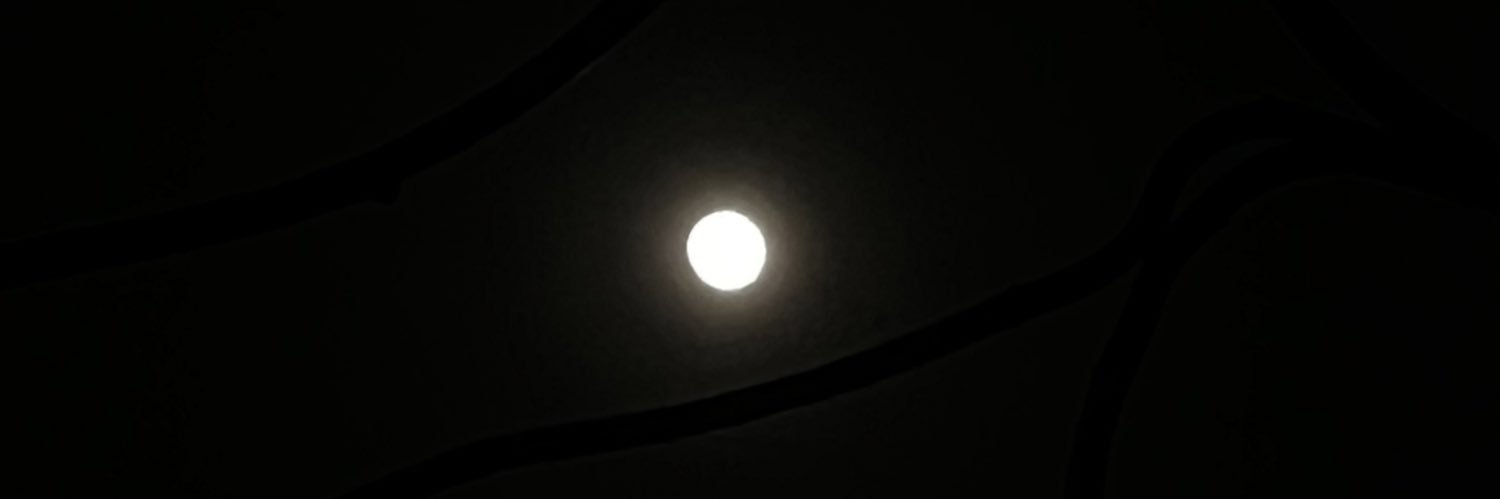 ankeeofficial's profile banner image