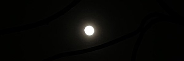 ankeeofficial Profile Banner