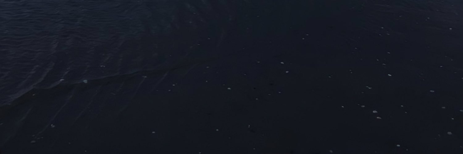 liinasw's profile banner image