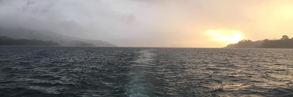 stevedowpe's profile banner image