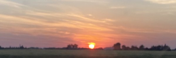 TMSP85 Profile Banner