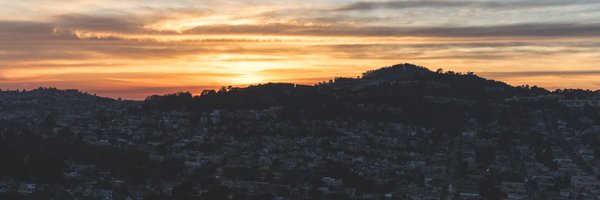 cohen Profile Banner