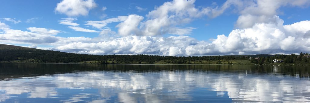 trulsandre's profile banner image