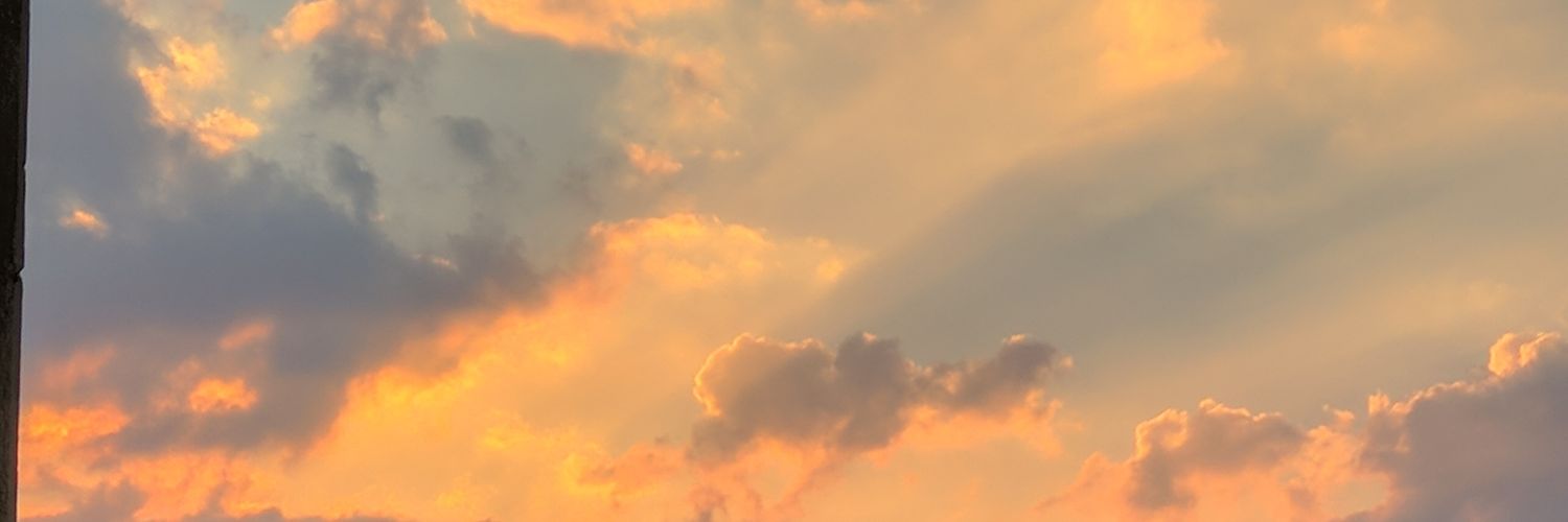 « 𝑂〽️𝑁𝐼𝐴 » banner