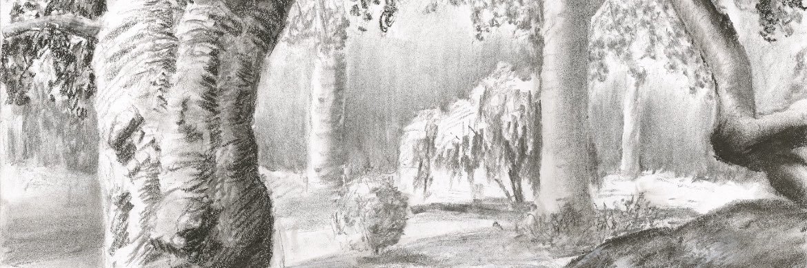 Caleb Colgan banner