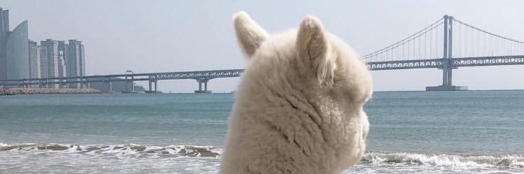 Dfmaew's profile banner image