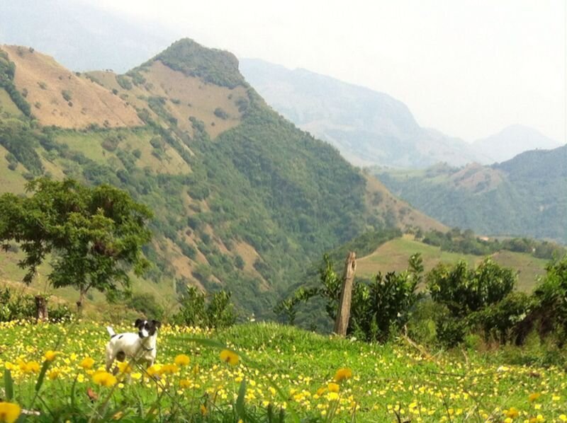 beatriz_white's profile banner image