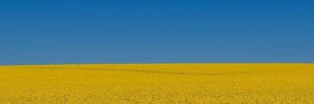 esistdast's profile banner image