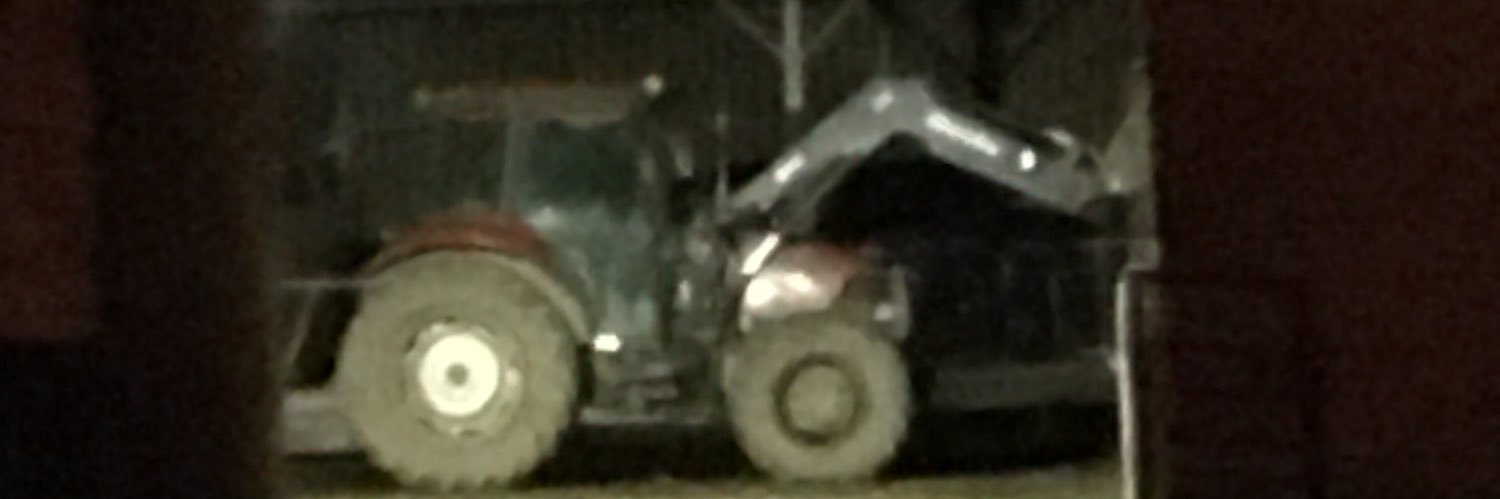 angela sargent banner