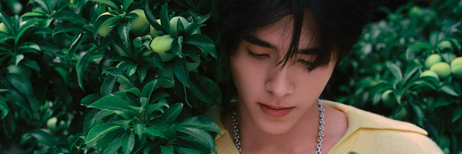 qingbi0809's profile banner image