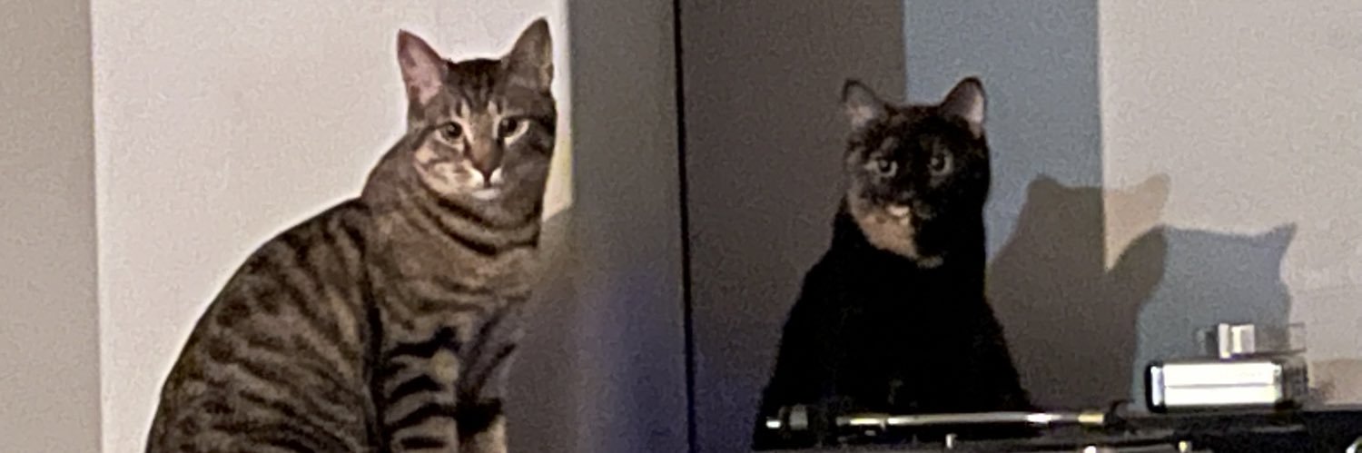 griersonbowes's profile banner image