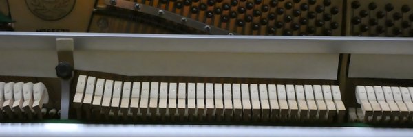 GastaldiEdoardo Profile Banner