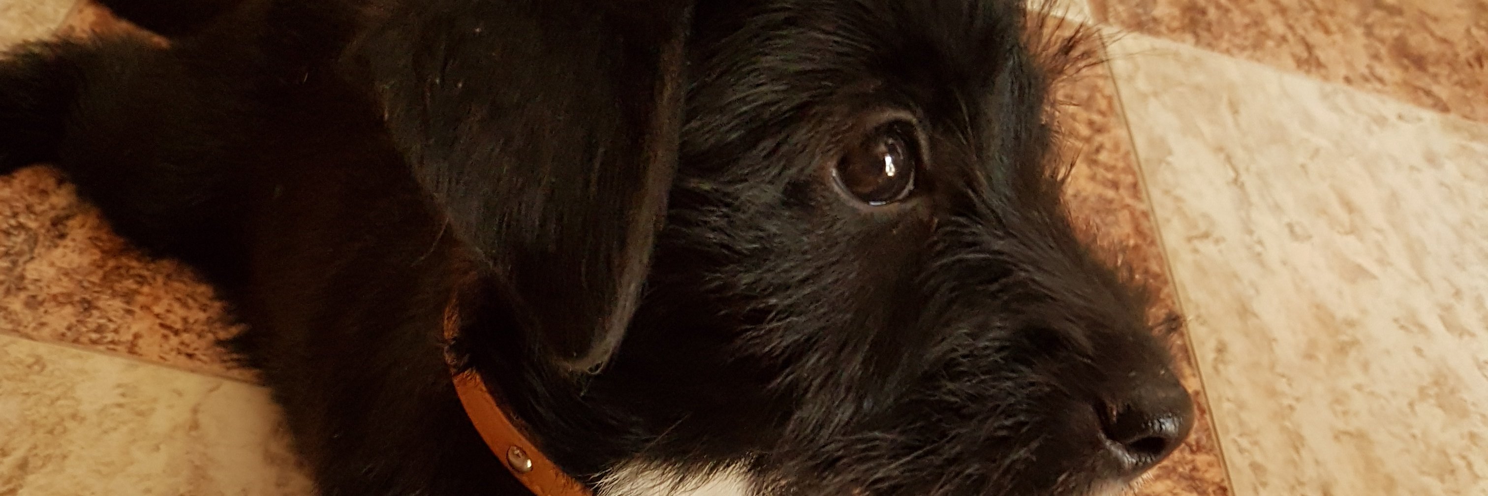 issvi's profile banner image