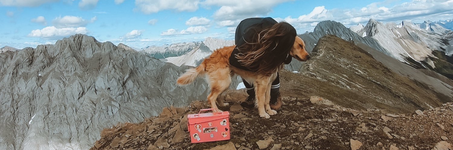 ChanntellePaul's profile banner image