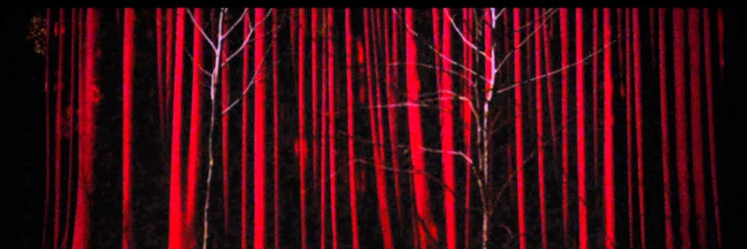 caro_lain's profile banner image