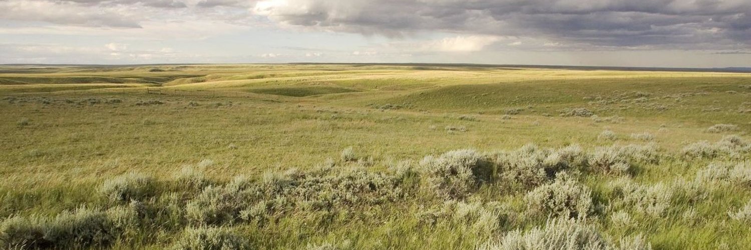 RxZen | MoonKindness 🚀🌙 banner