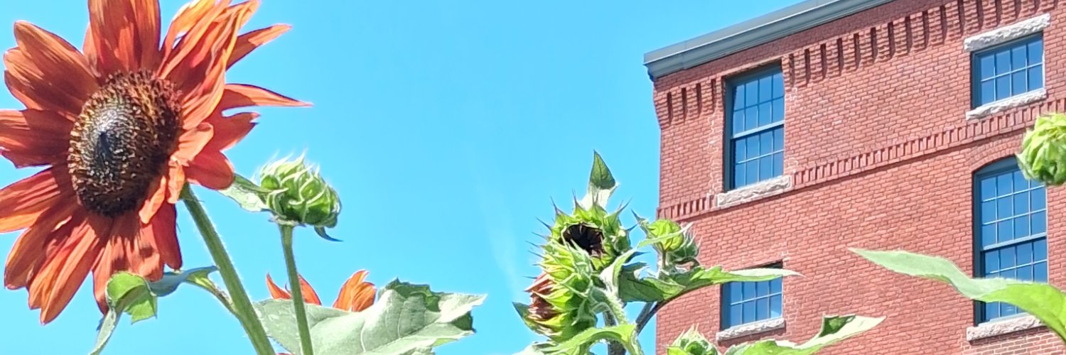 JohnBananaz's profile banner image