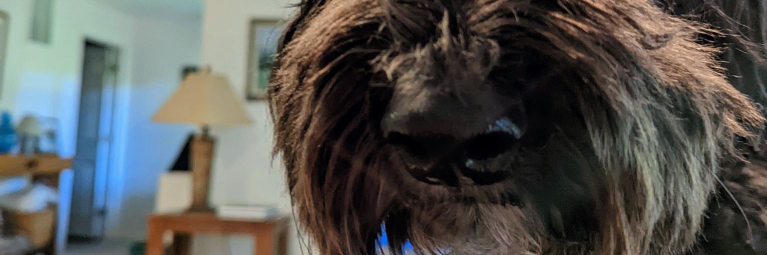 kebabdylan's profile banner image