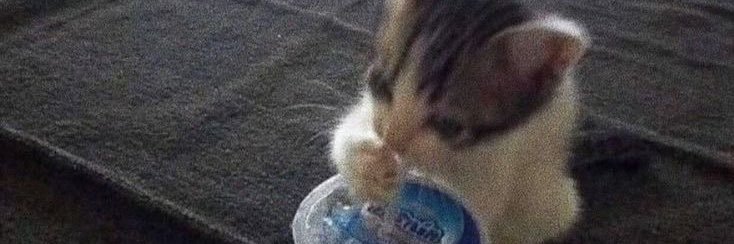 🐾 banner